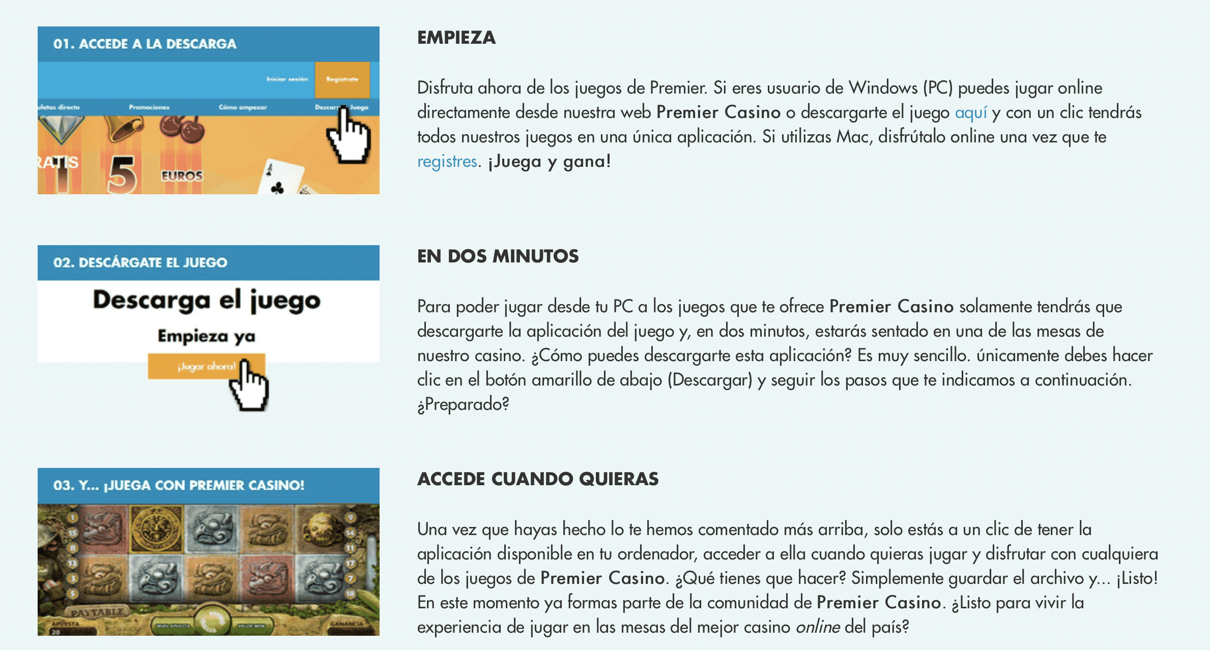 Premier Casino software