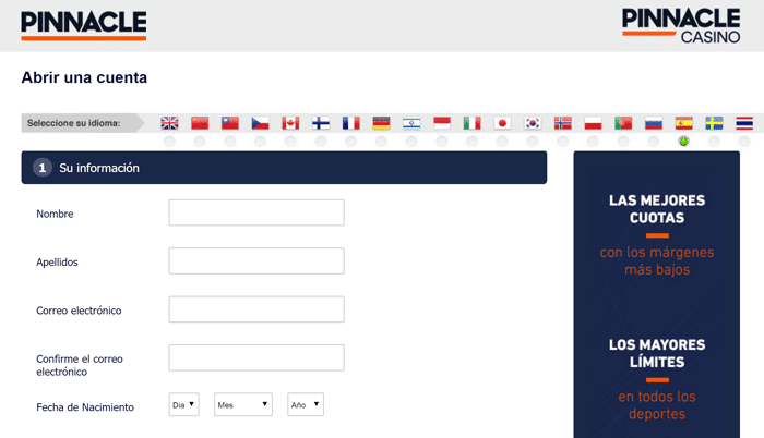estafa-online-pinnacle-registro